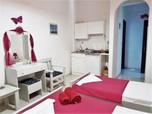 A kitchen or kitchenette at Drouga's Studios & Suites Astypalaia Greece