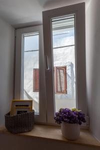 Fotografia z galérie ubytovania Guest House Blue v destinácii Zadar