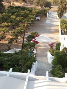 A garden outside Drouga's Studios & Suites Astypalaia Greece