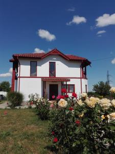 a white house with flowers in front of it at Pensiunea Simona in Perişor