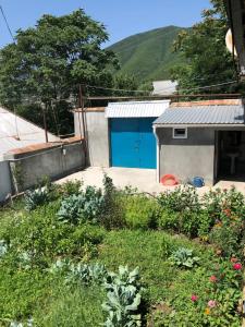 Shaki Host House外面的花园
