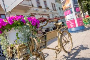 ポツダムにあるホテル アム ルイセンプラッツの通りの脇に花を咲かせる自転車