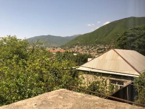 舍基Shaki Host House的以群山为背景的城市景观