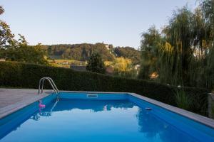 a blue swimming pool with a view of a garden at Apartment Šilec in Šmarje pri Jelšah
