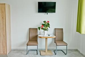 two chairs and a table with a plant on it at Pension Waldesruh in Linz