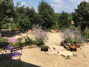 Zahrada ubytování Les Karakis, piscine au sel, jardin 5000m2