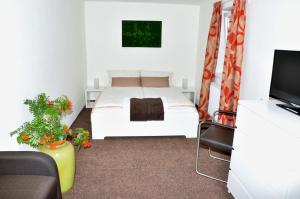 TV a/nebo společenská místnost v ubytování B&B À la montagne