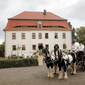 two horses pulling a carriage in front of a house at HERRENHAUS KUNZWERDA bei TORGAU - ApartHotel, BoardingHouse, WOHNEN auf ZEIT in Torgau