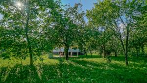 Zahrada ubytování Vila Luna
