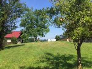 Vrt ispred objekta Pension David