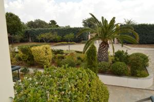 a garden with a palm tree and some bushes at Ground beach studio in Nea Potidaea +26 photos