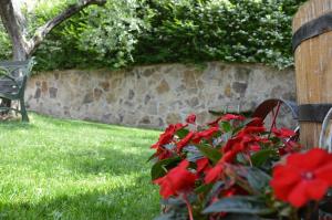 A garden outside Colle Del Barbarossa