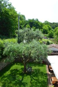 A garden outside Colle Del Barbarossa