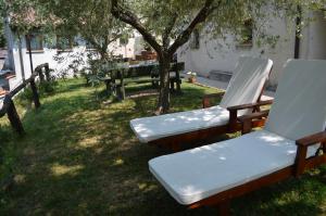 A garden outside Colle Del Barbarossa