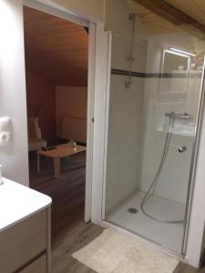 a bathroom with a shower with a glass door at Location Chambres d'Hôtes Clodeguy No 2 in Saint-Sylvestre-sur-Lot