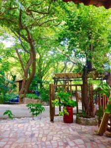 einen Garten mit Bäumen und einer hölzernen Pergola in der Unterkunft AVRA Apartments in Therma