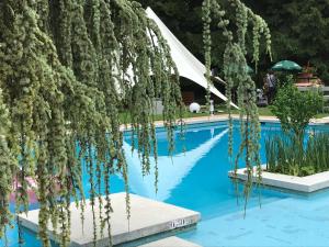 a blue swimming pool with trees and a white tent at Hôtel-Restaurant "Les Rochers" in La Balme-de-Sillingy
