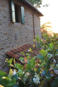 a brick building with a window and a bush at Podere I Rovai-apt IL RIFUGIO- in the heart of Tuscany in Reggello