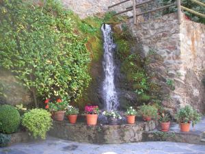 Zahrada ubytování Hotel Sant Antoni