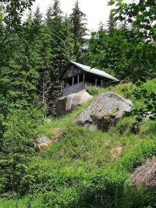 una casa in cima a una collina nel bosco di Complex Pele a Zmeitsa