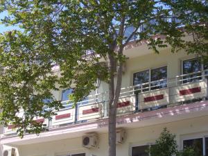 a building with a tree in front of it at Bristol Apartments in Kos
