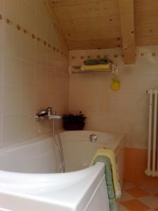 a bathroom with a bath tub in a room at Antico Maso in Lavarone