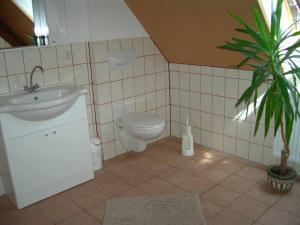 a bathroom with a sink and a toilet and a plant at Spatzenhof in Weiltingen