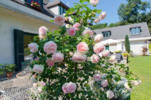 Foto dalla galleria di B&B La Provenzale a Tornolo