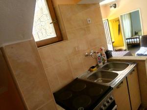 Kuchyň nebo kuchyňský kout v ubytování Apartments Vukotic