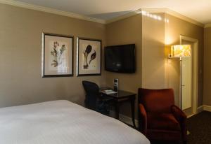 um quarto de hotel com uma cama e uma cadeira e uma televisão em Chestnut Hill Hotel em Filadélfia