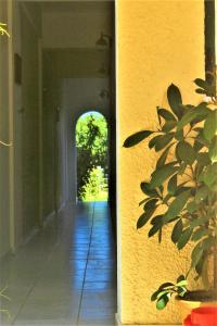 an empty hallway with a plant next to a wall at Chrysanthi Melitsa apts. in Sidari