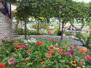 a garden filled with colorful flowers in front of a building at Villa Visoka in Balchik