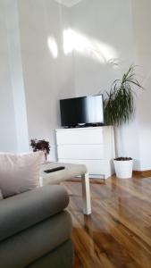 a living room with a couch and a tv at Royals Flower Apartments III in Krakow