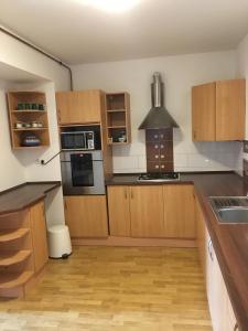 uma cozinha com armários de madeira e um forno com placa de fogão em Sausage dog's apartments em Olomouc