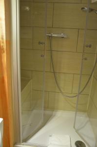 a shower with a glass door in a bathroom at Hotel garni & Oma's Heuhotel 'Pension zur Galerie' in Barby
