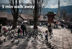 a group of people standing around a flock of birds at Le Petit Prince in Sarajevo