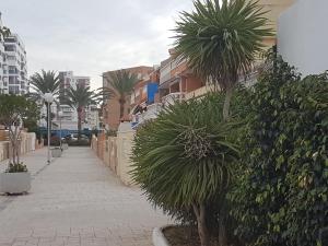 Billede fra billedgalleriet på Dúplex, piscina y playa i Puebla de Farnals + 24 billeder