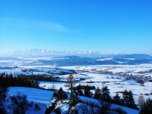 Foto dalla galleria di Pensjonat Willa Szarotka a Kluszkowce Altre 122 foto