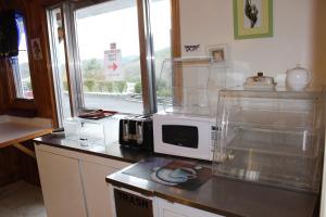 a kitchen with a microwave on a counter at Berkshire Travel Lodge in Canaan