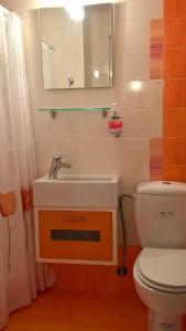 uma casa de banho com um WC, um lavatório e um espelho. em Antonia's Apartments em Yimnón