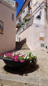 un gran plantador con flores delante de un edificio en Monolocale II La Maddalena, en La Maddalena