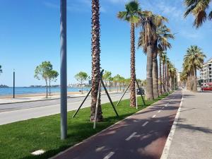 a street with palm trees on the side of a road at Cold Water Residence in Vlor&euml;