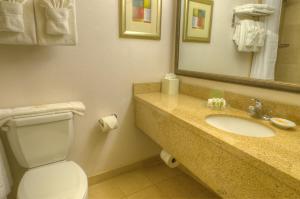 a bathroom with a toilet, sink and mirror at Ramada by Wyndham Phoenix Midtown in Phoenix