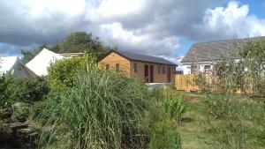 a wooden house in a yard with plants at Shannon Estuary Glamping Budget-Sustainable-Biodiversity-Rustic-Countryside Holiday Accommodation in Effernan