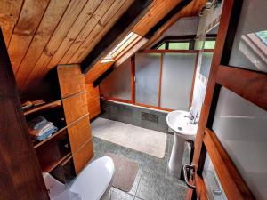 an attic bathroom with a toilet and a sink at Refugio Las Raices in Malalcahuello