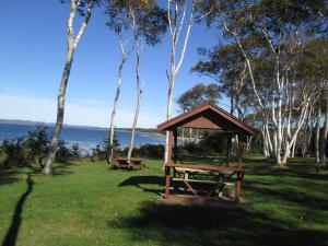 un gazebo di legno in un campo con alberi e acqua di Oceanhillside B&B a Digby