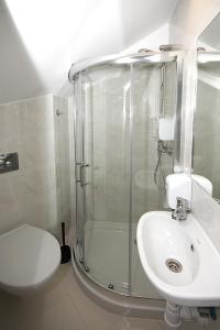a bathroom with a shower and a toilet and a sink at Willa Park Apartamenty in Olsztyn +64 photos