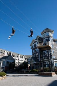 Gallery image of Mountain Lodge in Snowshoe