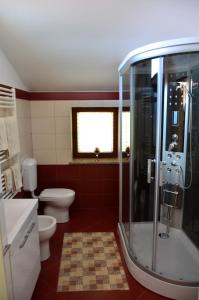 Koupelna v ubytování Apartma Louis + 22 fotografií