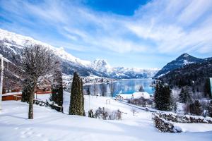 a winter view of a lake and snowy mountains at MONDI Hotel am Grundlsee in Grundlsee